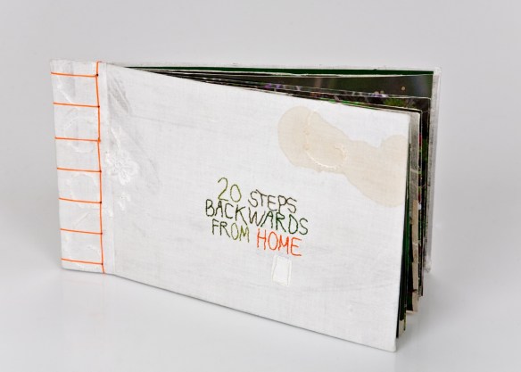 BryndisBraga 20steps1