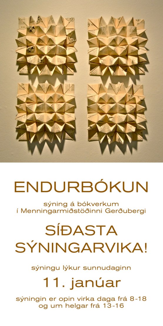 Endurbokun-LOK11jan