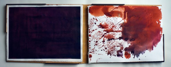 Svanborg Matthíasdóttir: Metamorphosis